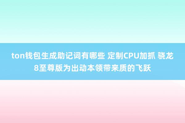 ton钱包生成助记词有哪些 定制CPU加抓 骁龙8至尊版为出动本领带来质的飞跃