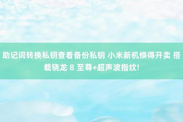 助记词转换私钥查看备份私钥 小米新机倏得开卖 搭载骁龙 8 至尊+超声波指纹!