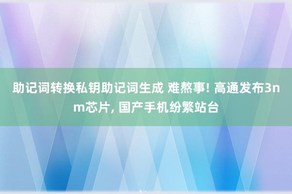 助记词转换私钥助记词生成 难熬事! 高通发布3nm芯片, 国产手机纷繁站台