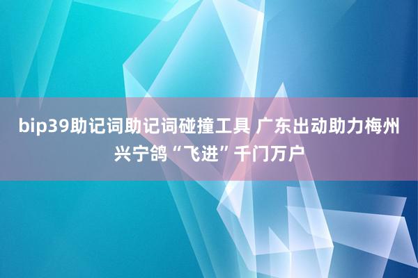 bip39助记词助记词碰撞工具 广东出动助力梅州兴宁鸽“飞进”千门万户