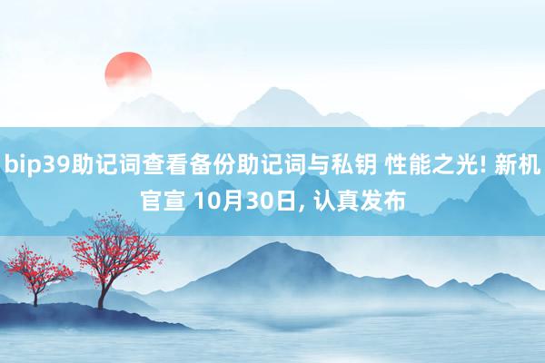 bip39助记词查看备份助记词与私钥 性能之光! 新机官宣 10月30日, 认真发布